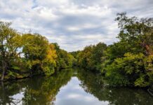The Bronx River: A Story of Transformation and Renewal
