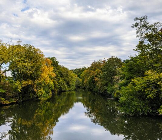 The Bronx River: A Story of Transformation and Renewal