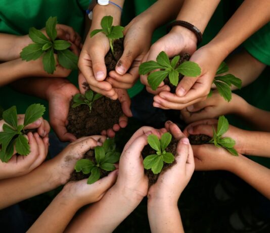 Как жители Бронкса приобщаются к сохранению окружающей среды?