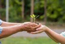 Экологические акции в Бронксе