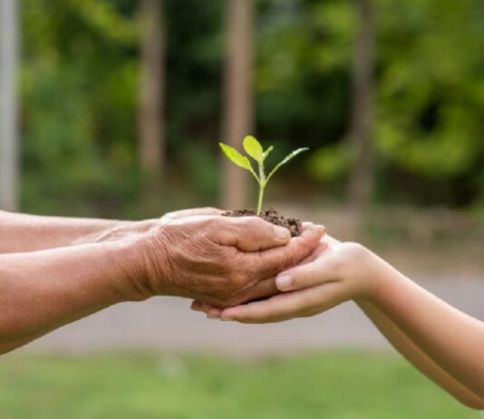 Environmental actions in the Bronx