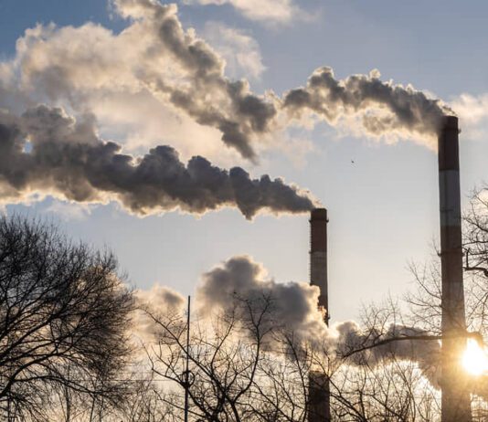 How Bronx Businesses Affect the Local Environment