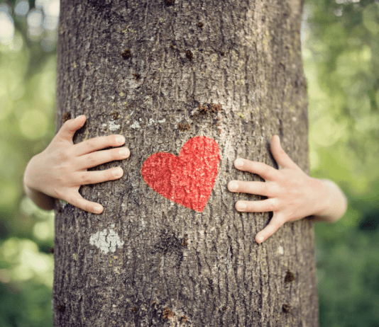 Життя в стилі «еко» в Бронксі