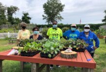 Bronx Community Farm Hubs