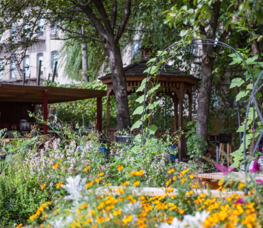 Bronx Green-Up Initiative: Reviving Urban Agriculture