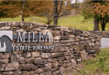 How Milea Estate Vineyard Wine from the Hudson Valley Reached the Bronx