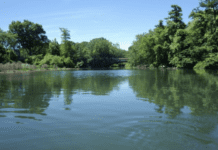 Bronx River Pollution: Ongoing Challenges