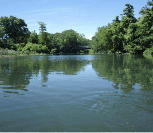 Bronx River Pollution: Ongoing Challenges