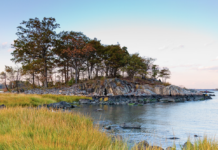 Pelham Bay Park: The History of New York’s Largest Park