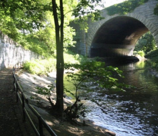 Bronx Park: A Walk Along the Bronx River