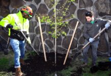 New York City’s Tree Map and the Impact of Greenery on Bronx Residents