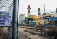 The Bronx’s Environmental Challenges and Solutions