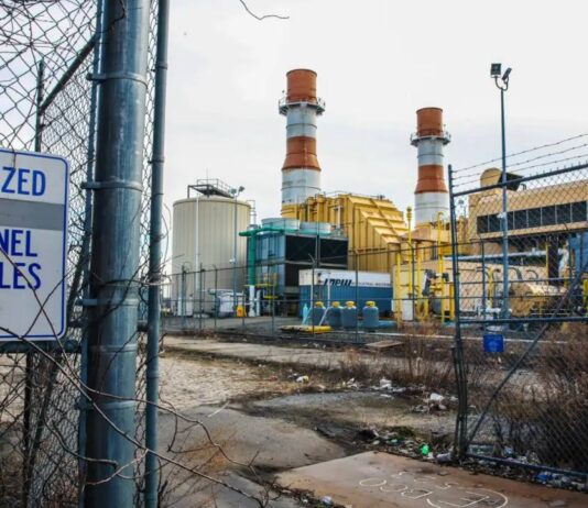 Экологические проблемы Бронкса и пути их решения