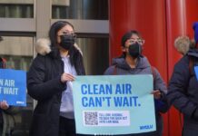Air Pollution in the South Bronx: Solutions in Sight