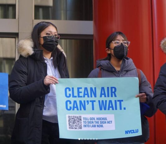 Air Pollution in the South Bronx: Solutions in Sight