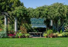 Wave Hill — A Unique Garden and Cultural Complex