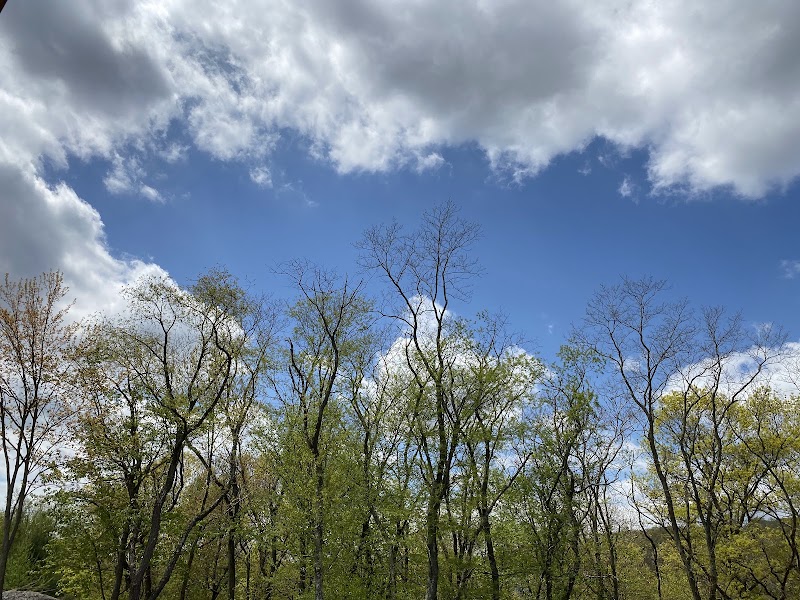 Claremont Park