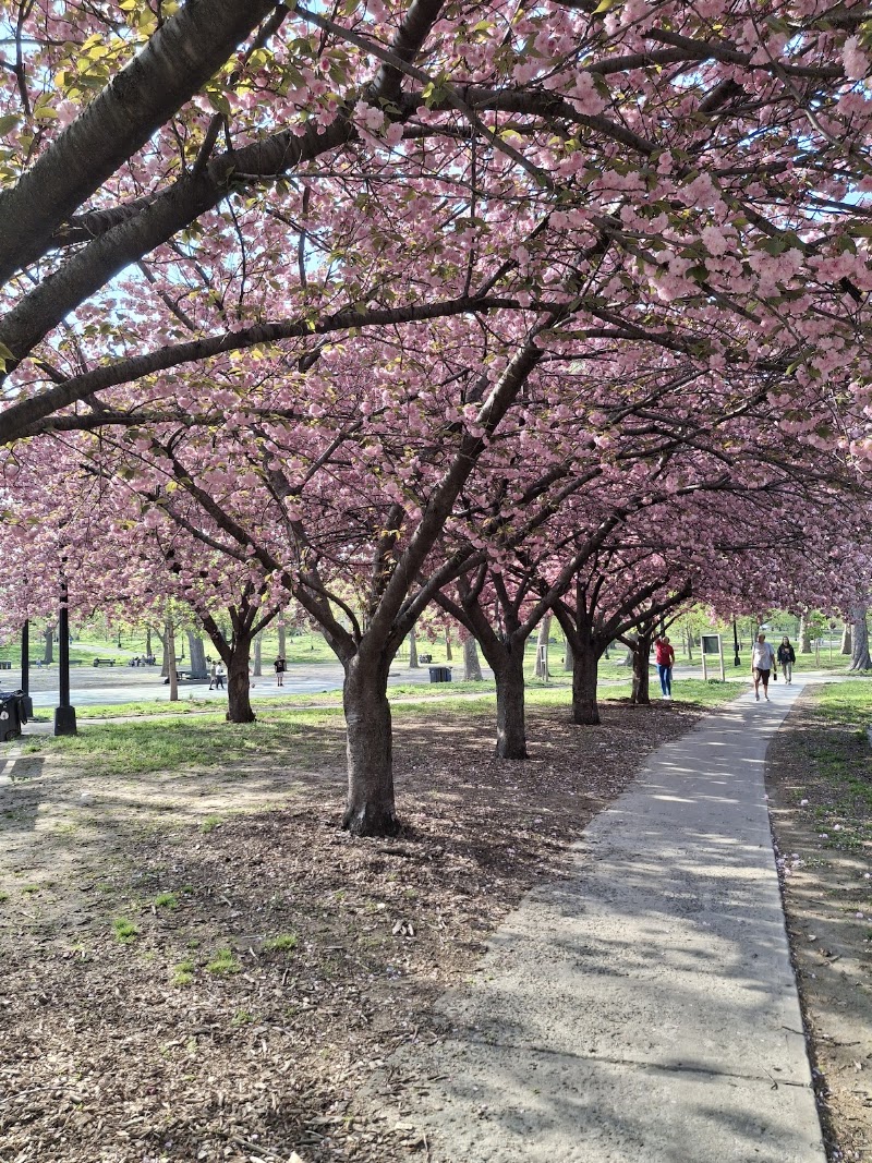 Crotona Park