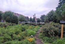 Rev. T. Wendell Foster Park