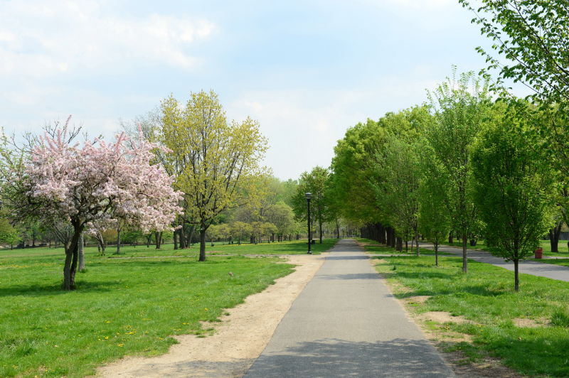 Soundview Park