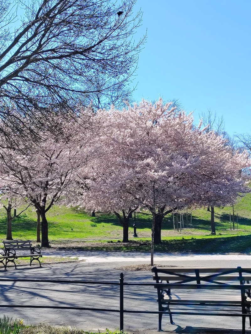 St. Mary's Park