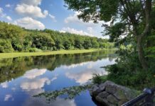Van Cortlandt Park