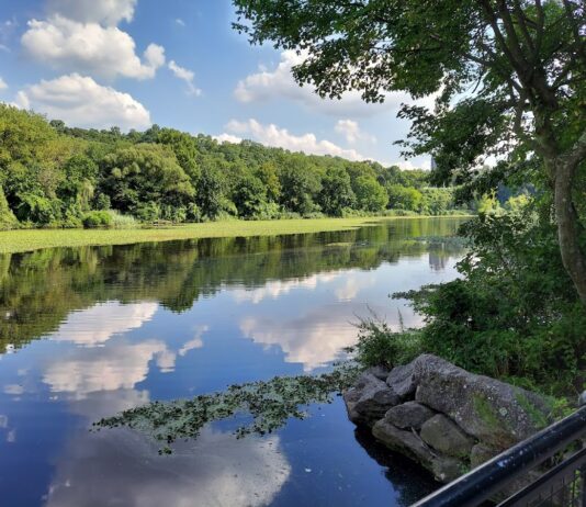 Van Cortlandt Park